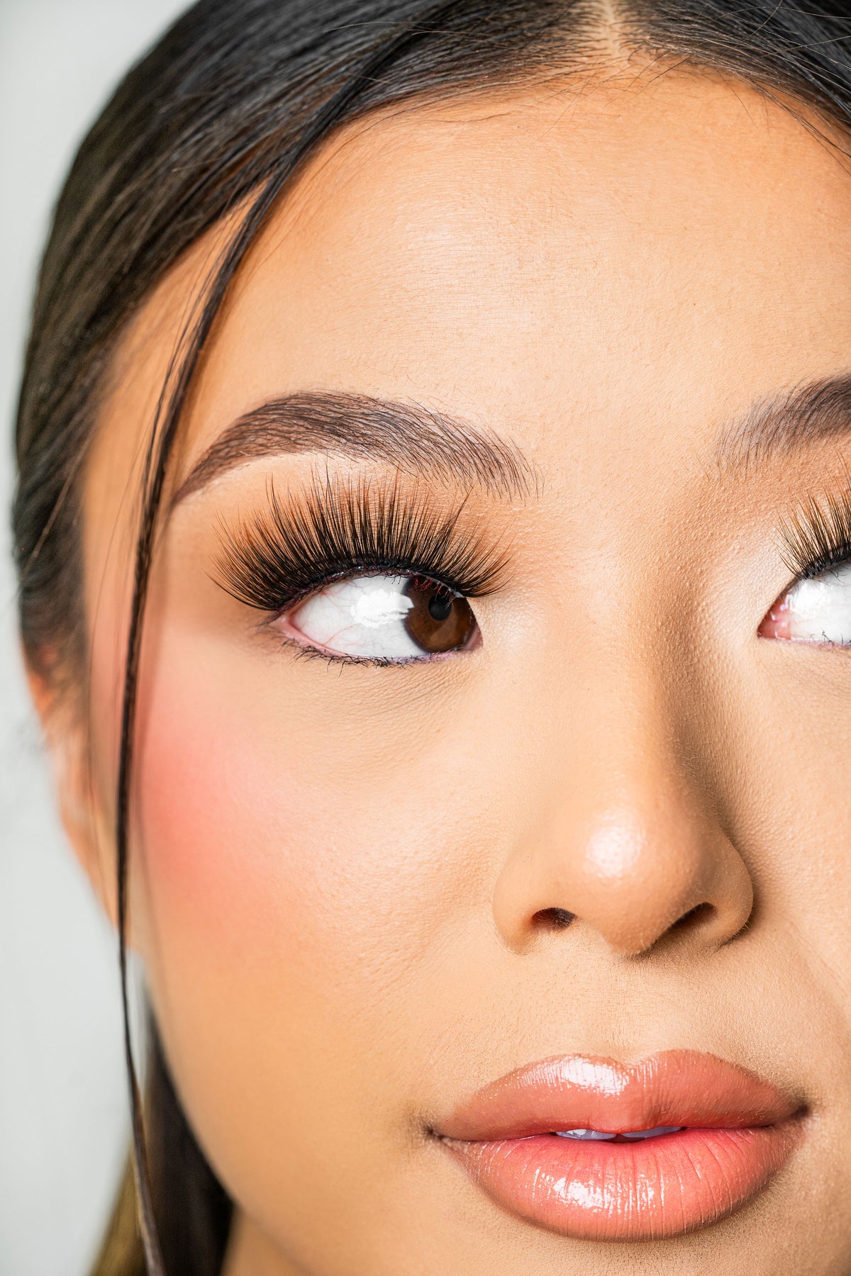 Twilight Lash