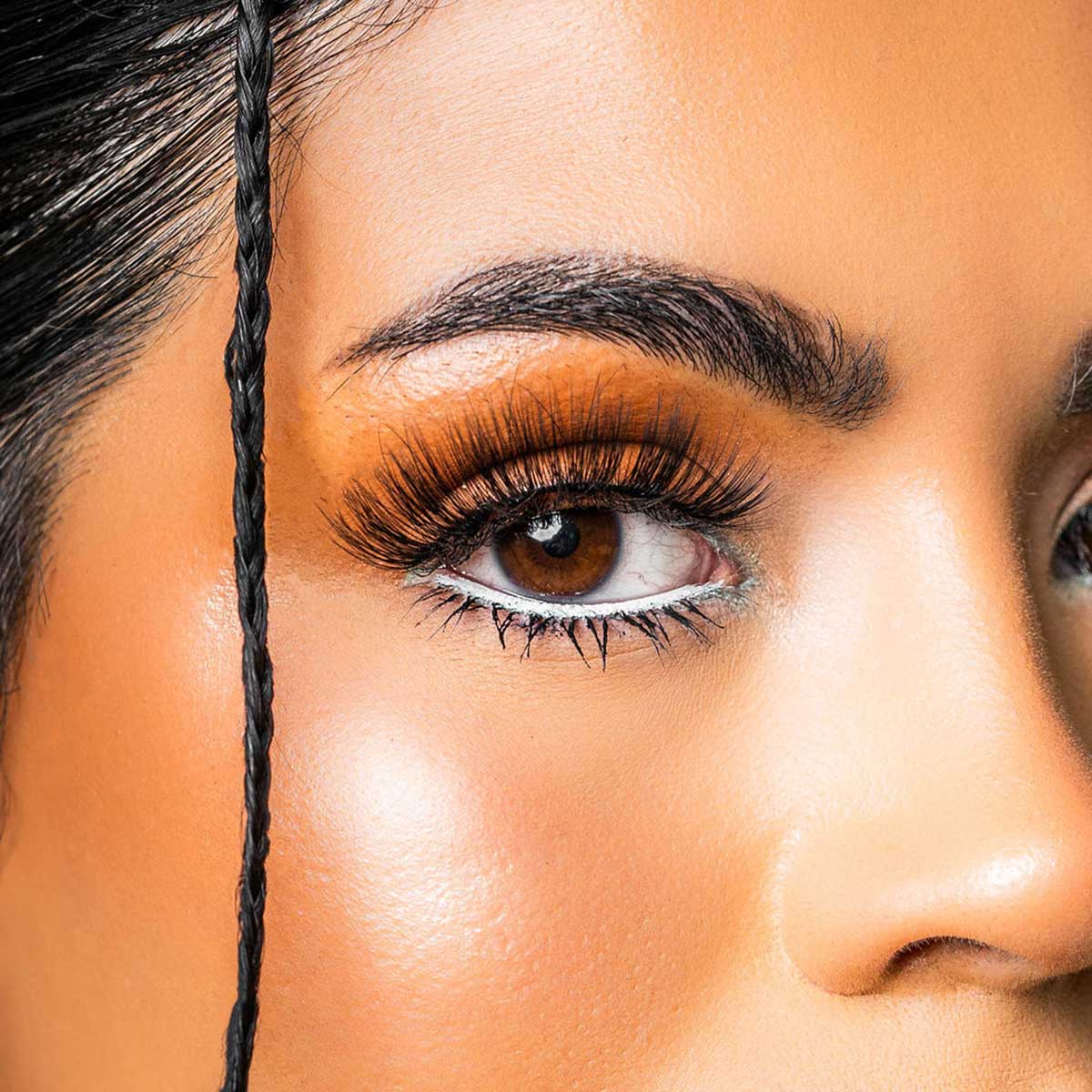 Universal Lash